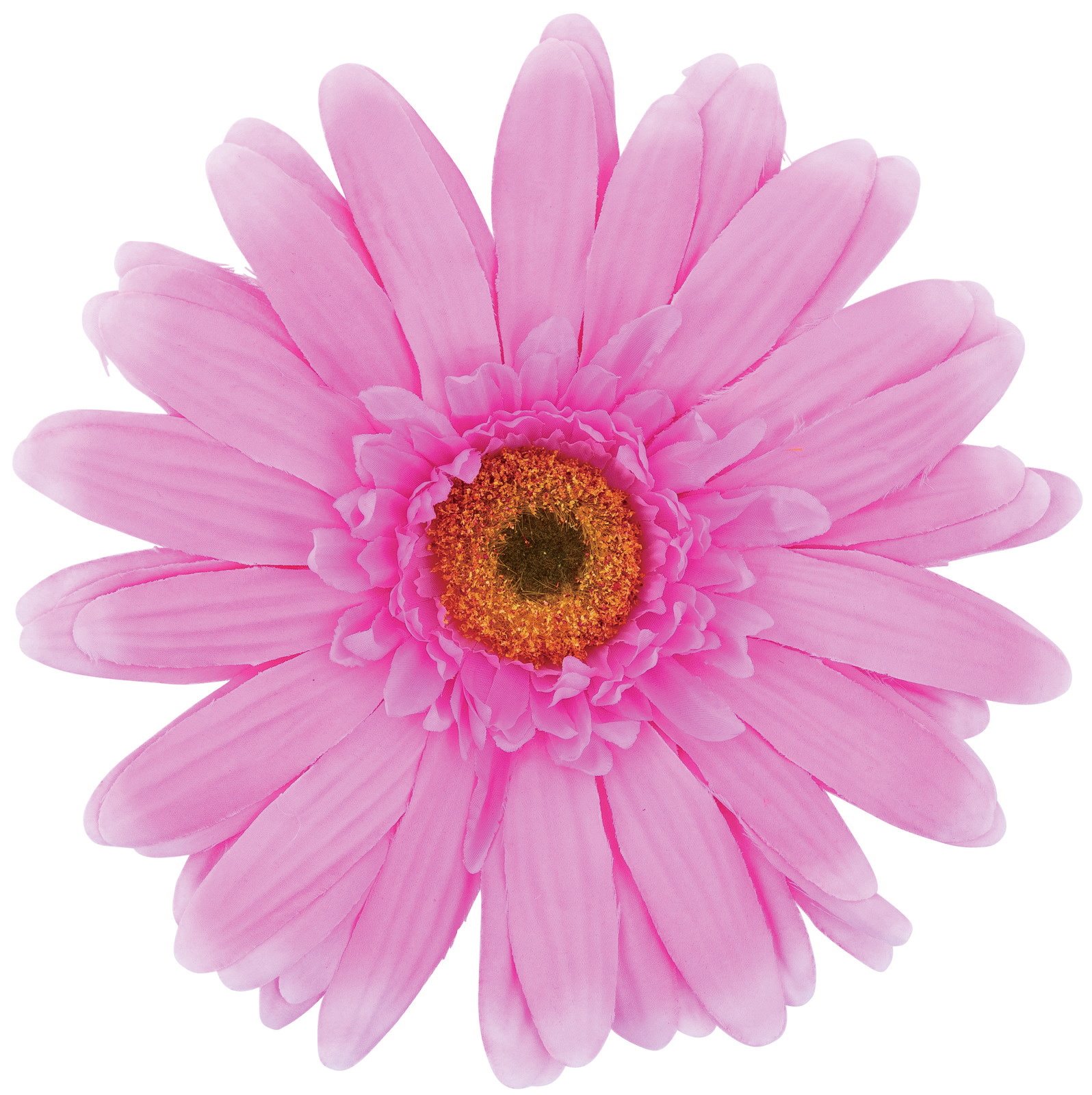 �y�l��z���s�z�ެ��޶ް��� (SO/PI)